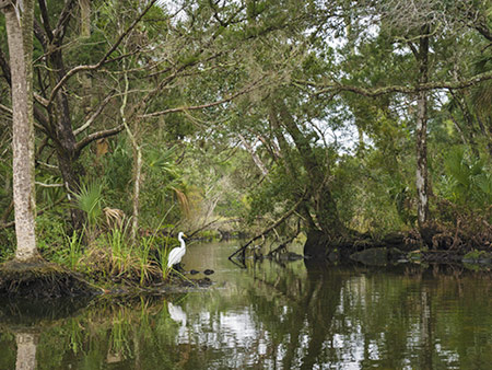 Chassahowitzka National Wildlife Refuge